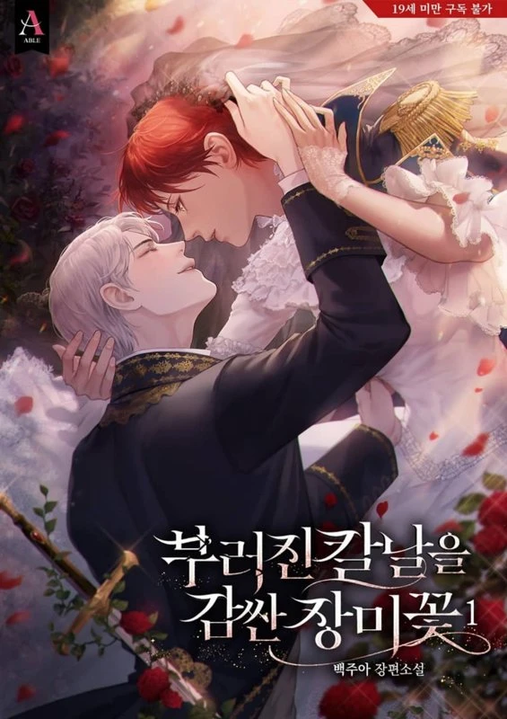 Роза обвившая сломанное лезвие / A Rose Wrapped Around A Broken Blade / buleojin kalnal-eul gamssan jangmikkochv / 부러진 칼날을 감싼 장미꽃